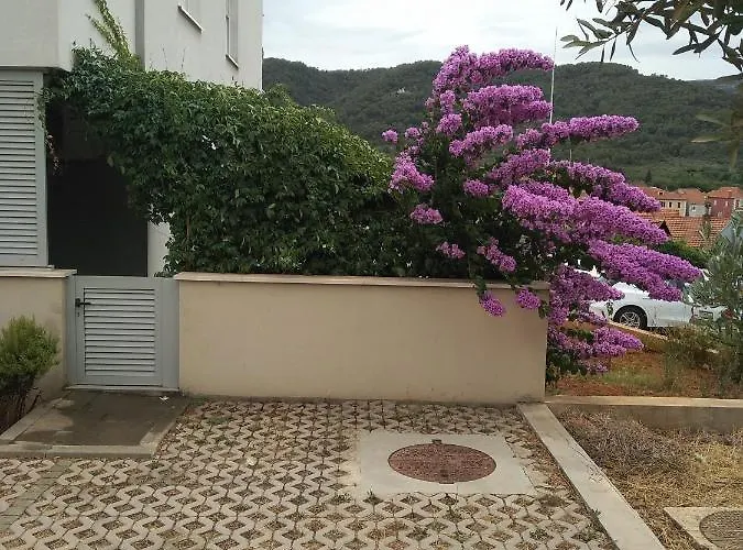 Paiz * Stari Grad (Hvar)
